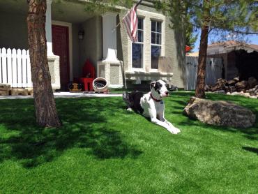 Artificial Grass Photos: Fake Pet Turf Victorville California Back and Front Yard
